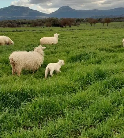 Farmház Agripaules Dorgali