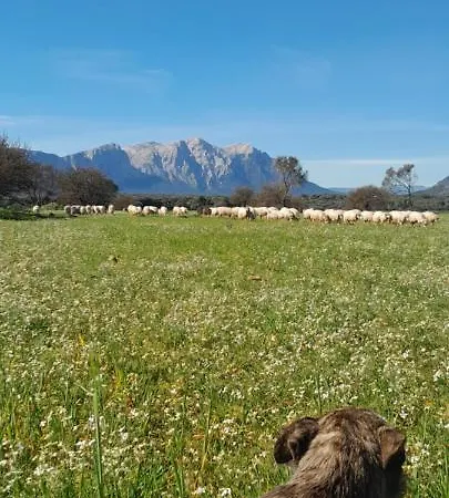 Agripaules Farmház
